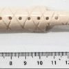 Crocodile stylisé