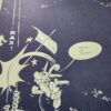 Filius Asterigis - Astérix en latin – Image 2