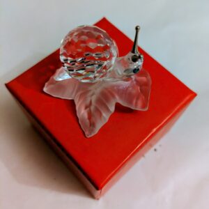 Escargot sur feuille de vigne